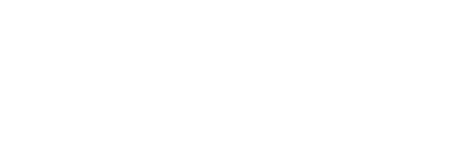 Mahalaxmi Ferro Cast